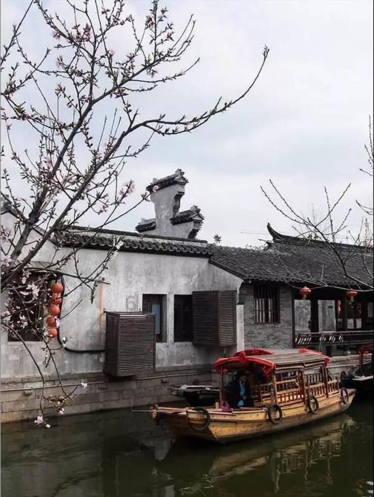 新疆隐藏特产深海大鱿鱼你可能刚知道，但这个特产你一定不陌生